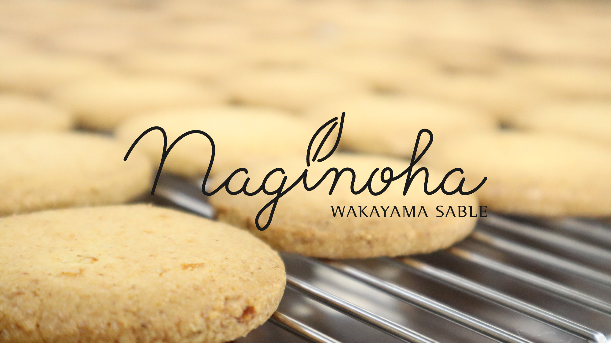 THIS IS WAKAYAMA SABLE.