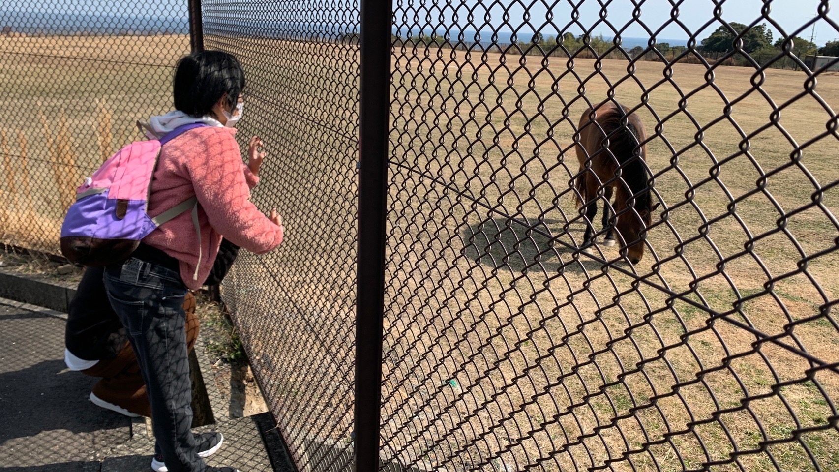 すみれ　卒業遠足🐢✨