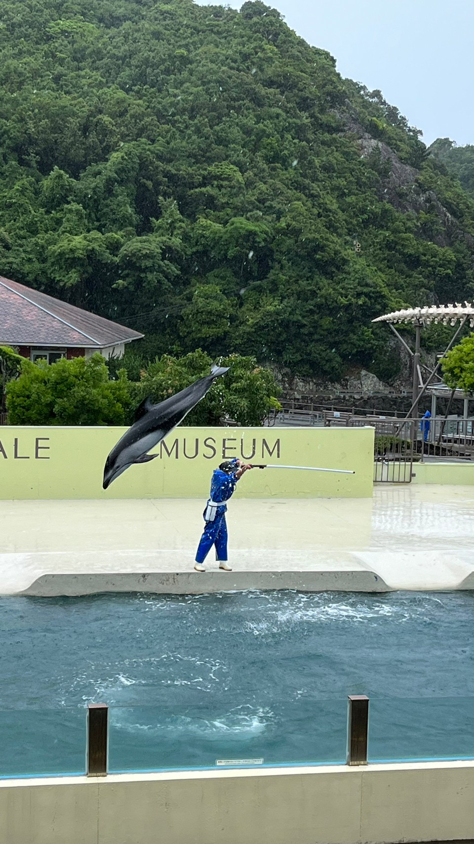 太地町くじらの博物館🐋