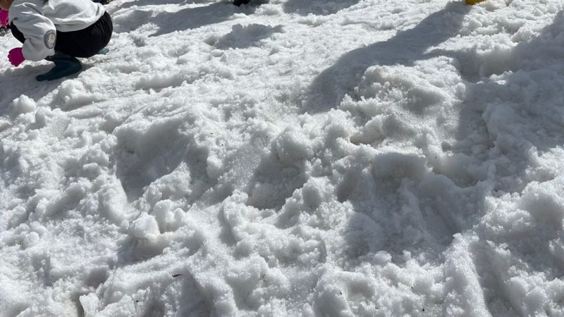 ⛄雪まつり２０２４⛄