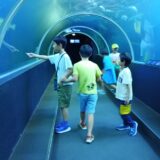 すみれ　海中公園へ行こう