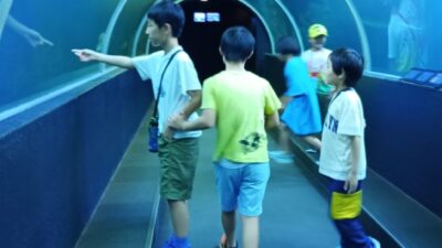 すみれ　海中公園へ行こう