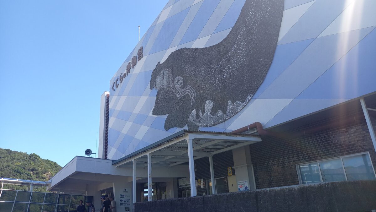 🐬太地町立くじら博物館見学🐋