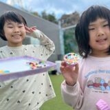 すみれ　最近の活動の様子